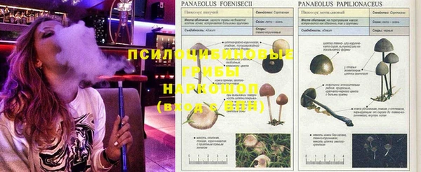 прущий лед Инта