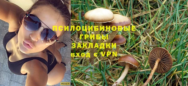 кокс Инсар