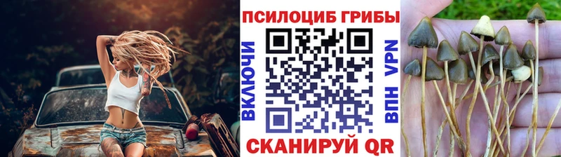 Купить закладки  Дзержинский  Галлюциногенные грибы MAGIC MUSHROOMS 